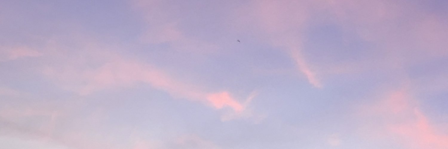 hanaschermer's profile banner image