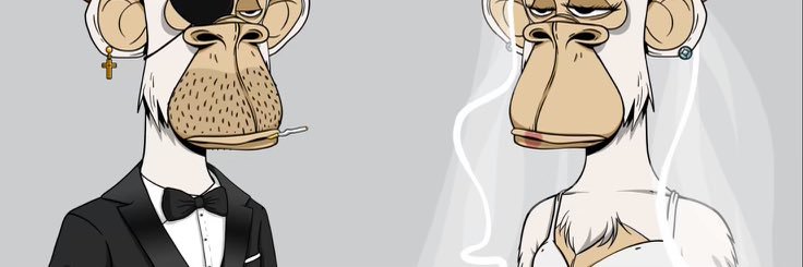 D Wein banner