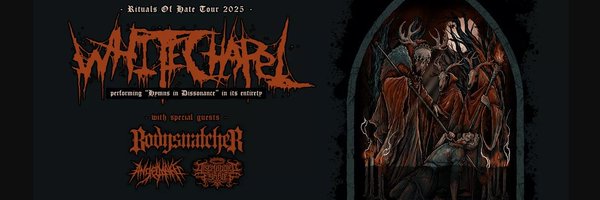 AngelMakerBand Profile Banner