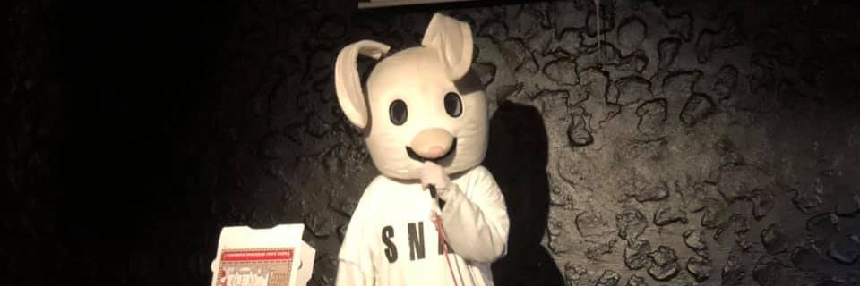 Snax The Bunny banner