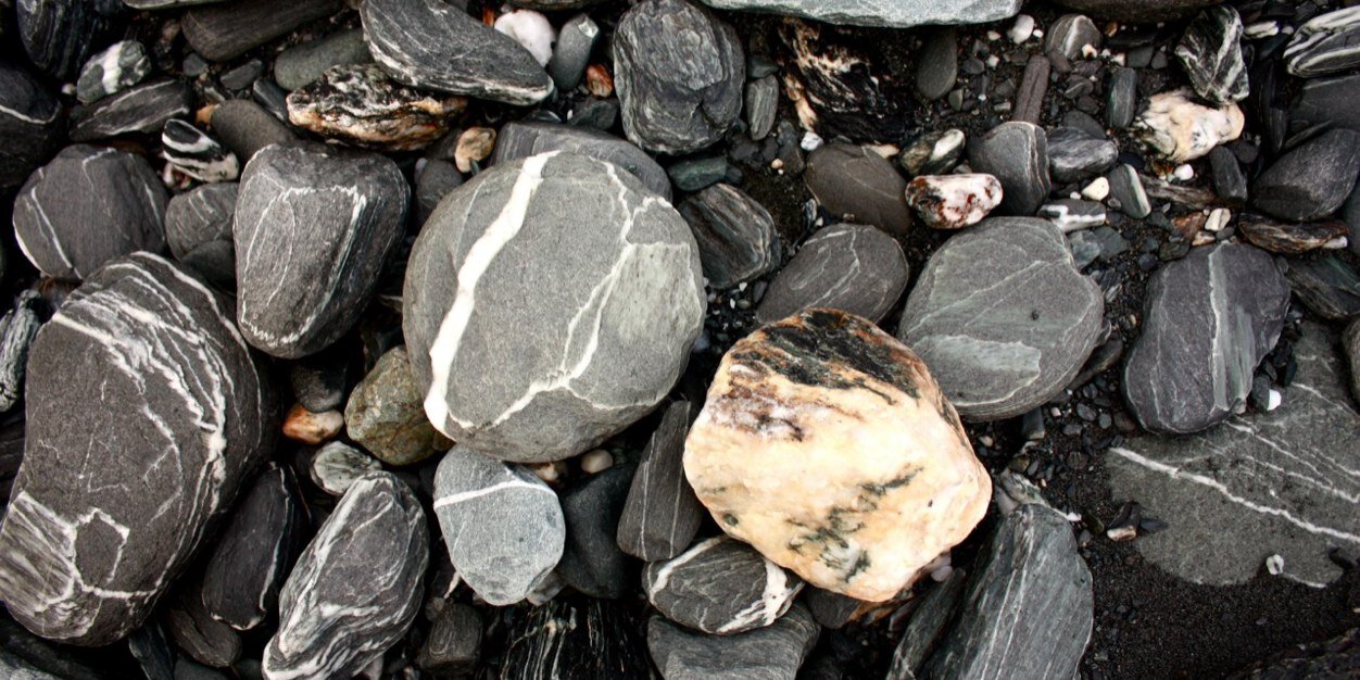 Dr. Shannon Digweed banner