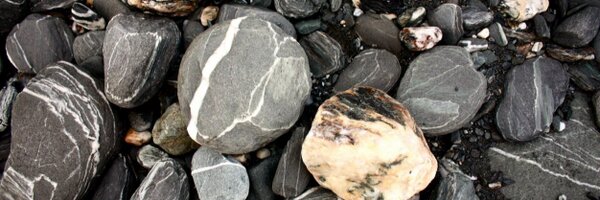 ShannonDigweed Profile Banner