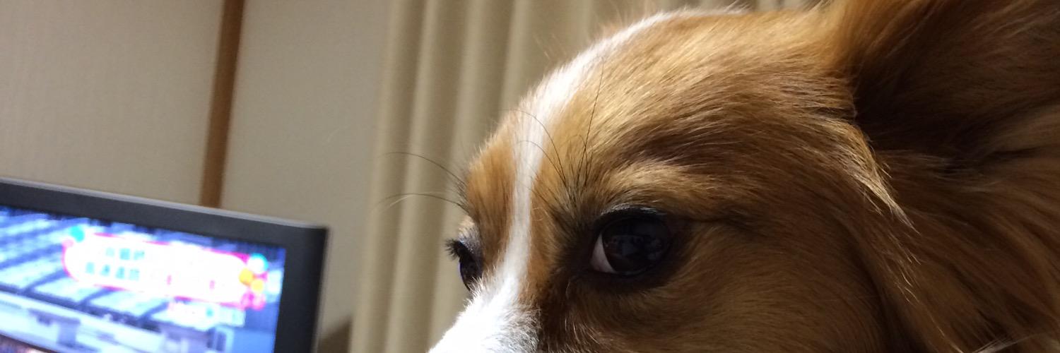 エクスオ@asibo banner