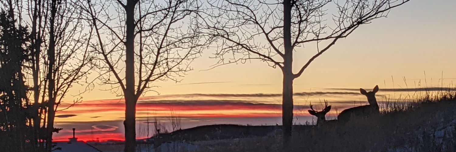 Mark Zaugg aka @Zarquil@fosstodon.org banner