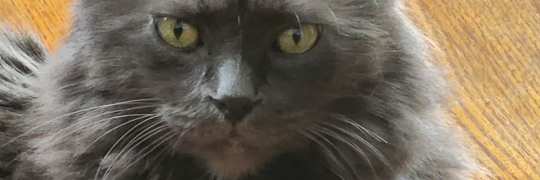 msjro1976's profile banner image