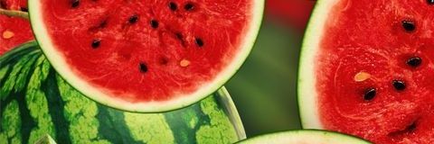 dicancann's profile banner image