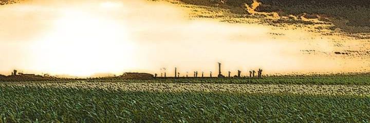 Basit_Tweets's profile banner image