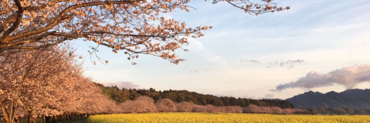 tweet0404's profile banner image