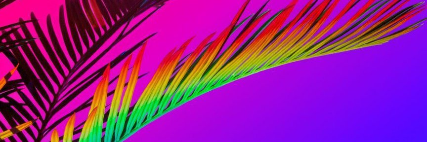 clovervbn88's profile banner image