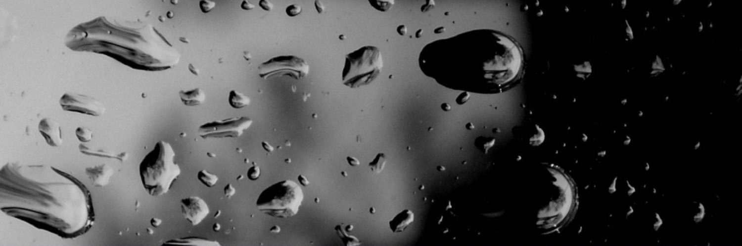 Stefano Quaranta banner