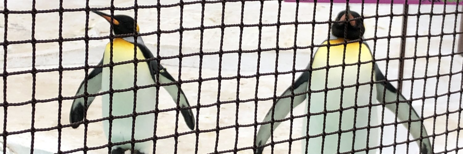 Meronpanna119's profile banner image