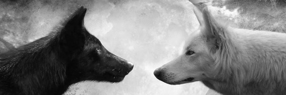 robdevo123's profile banner image
