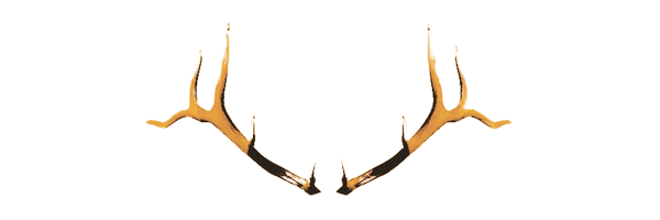 STORMKlNG Profile Banner