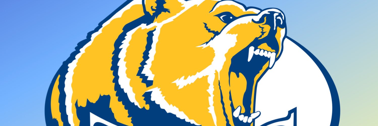 Tahoma Lady Bears Basketball banner