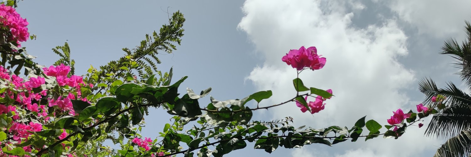 jayantikasingh's profile banner image