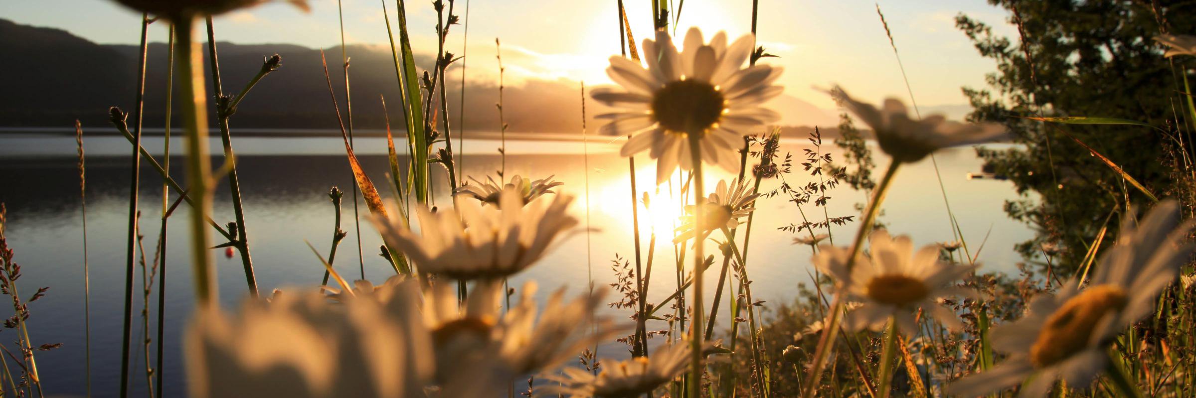 Devon Tufts - www.withoutamapIRL.com banner