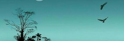 _rachmayannie's profile banner image