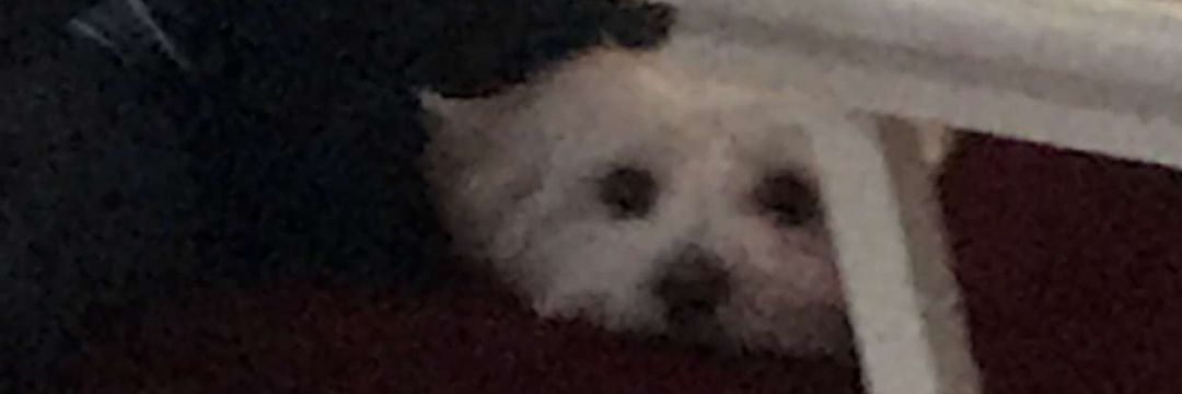 kylehoober's profile banner image