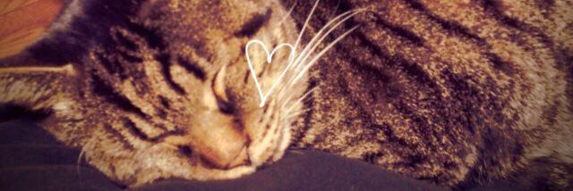 At_mocc's profile banner image