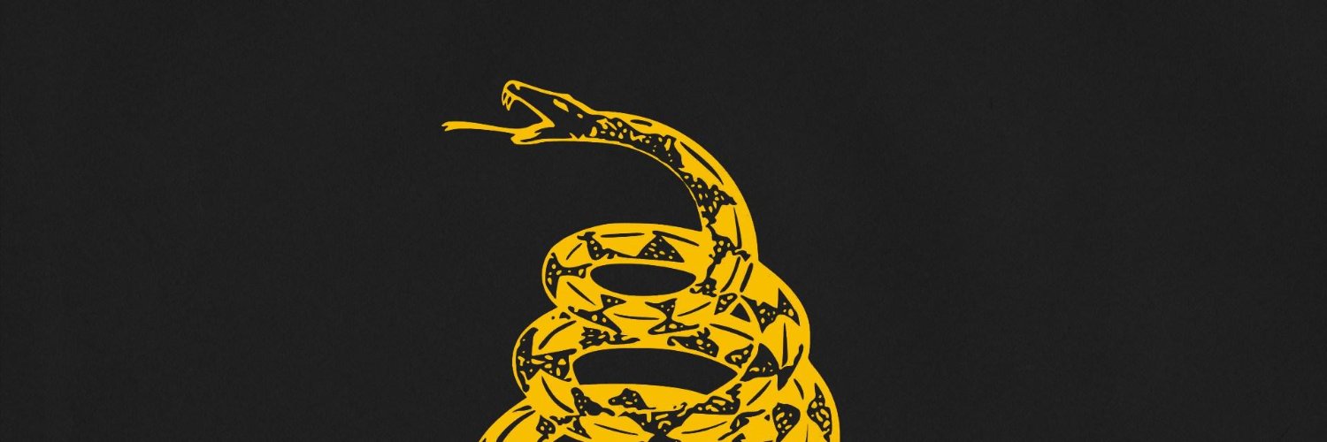 FelinoAncap's profile banner image
