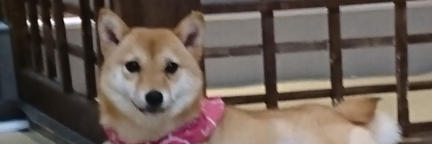 mmhonoka's profile banner image