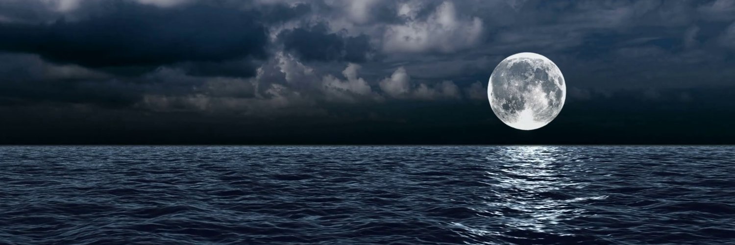 Satulie_'s profile banner image
