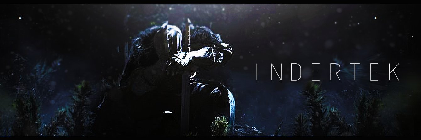 lndertek's profile banner image