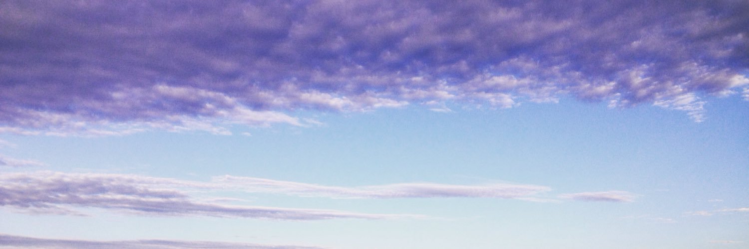 steinunnedda's profile banner image