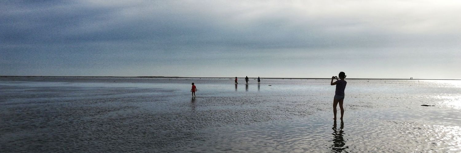 Lluís Sala - pro  banner