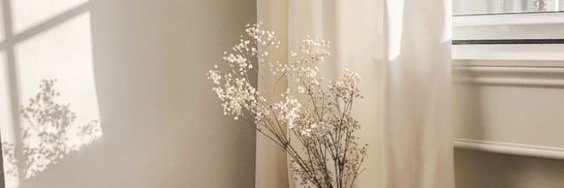eyeye_tg's profile banner image