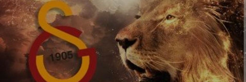 Snnqul's profile banner image