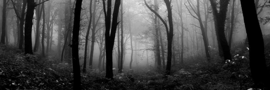 AprilSwan45's profile banner image