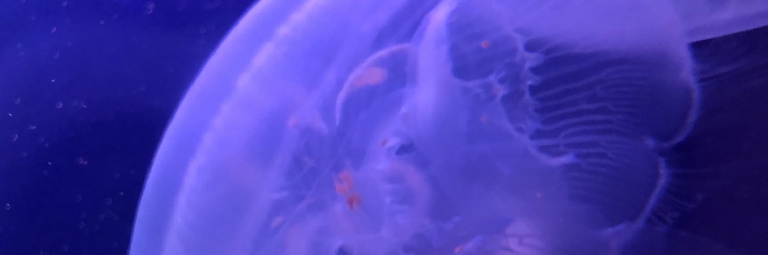 chankee2nd's profile banner image