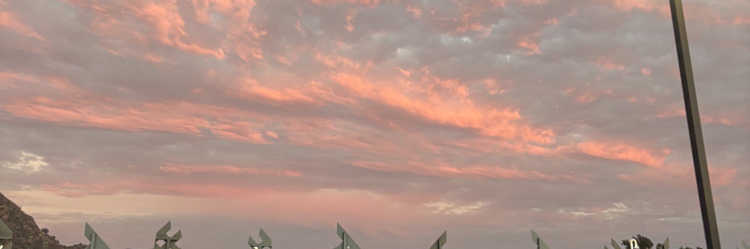 uglygingerr's profile banner image