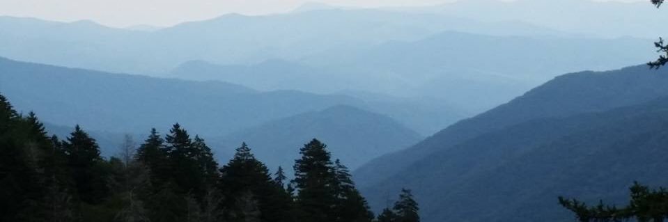 nolan_ericka's profile banner image