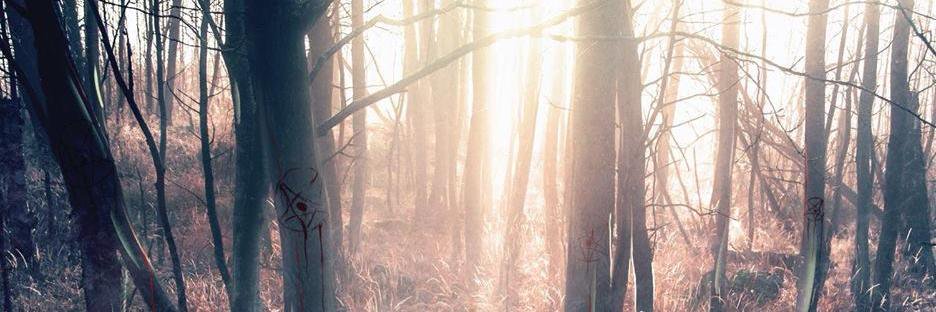 boobtx361's profile banner image