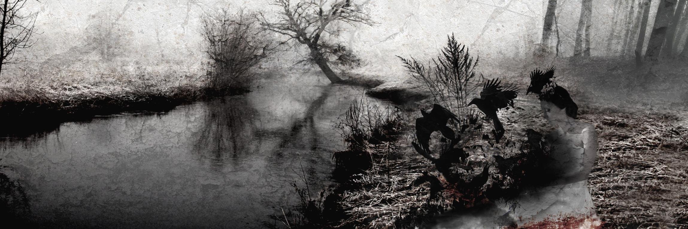 fracturedspine's profile banner image