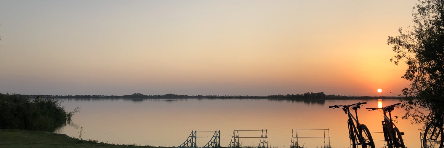 knotcase's profile banner image