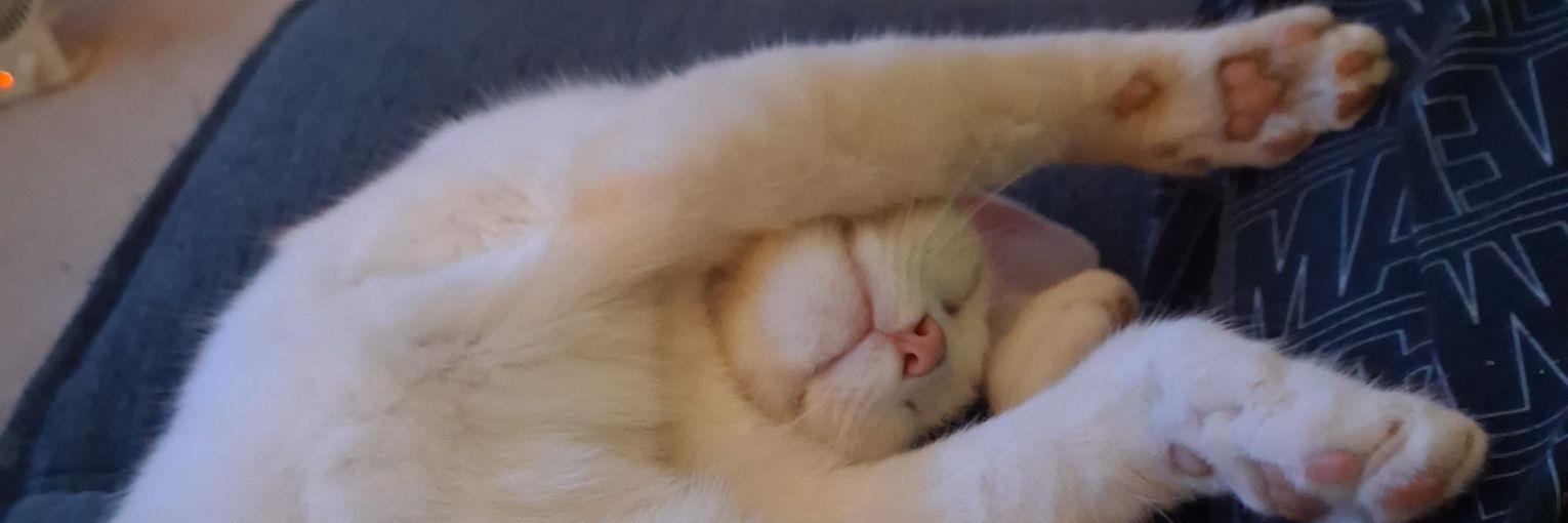 ERChuck's profile banner image