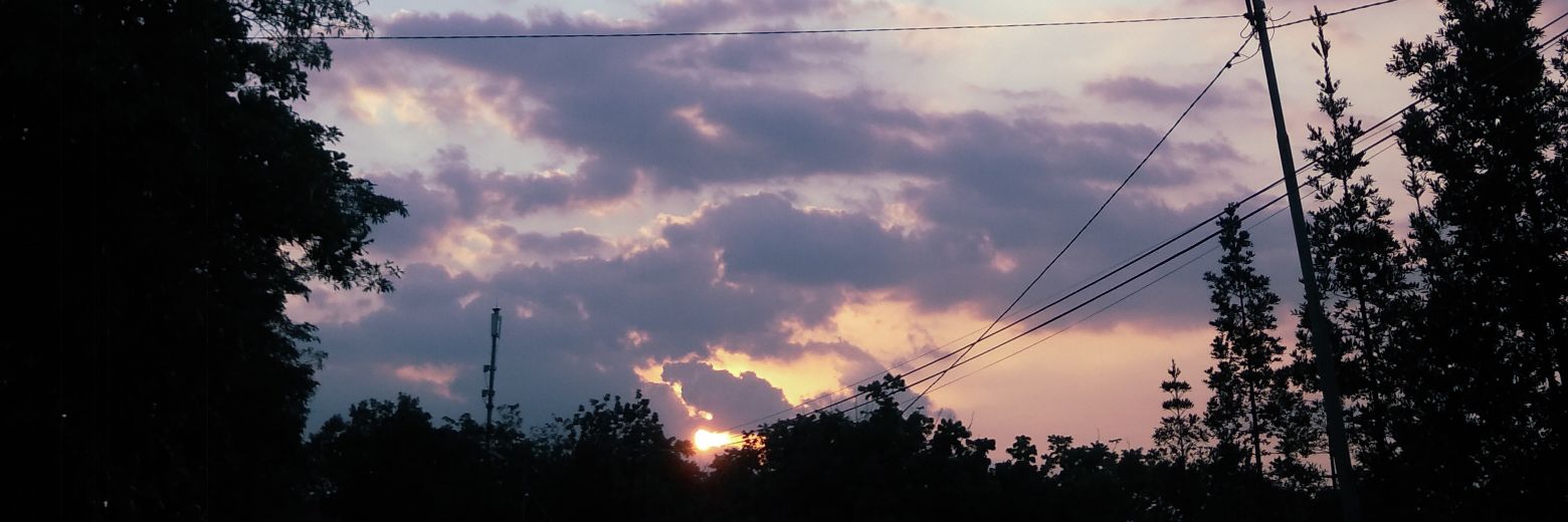 ritauruss's profile banner image