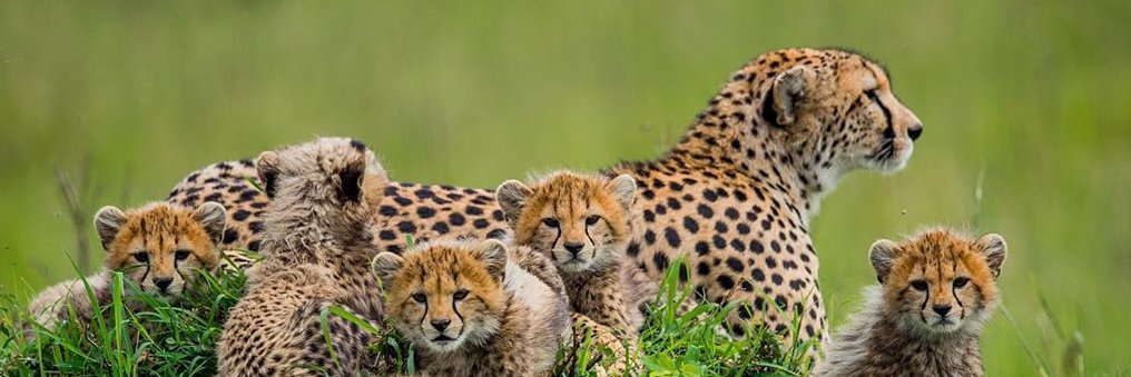 KennSamuel2's profile banner image