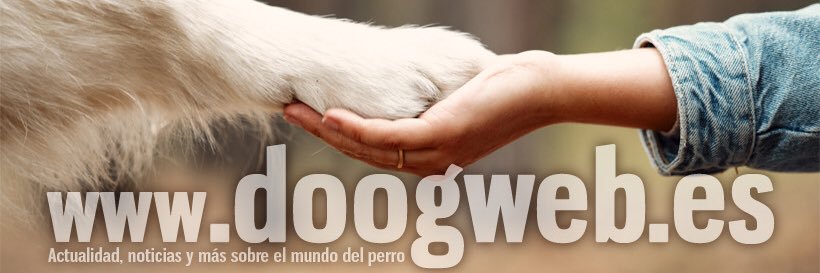 doogweb banner