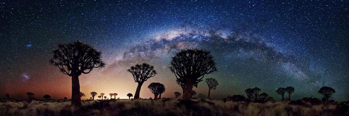 sehatup's profile banner image