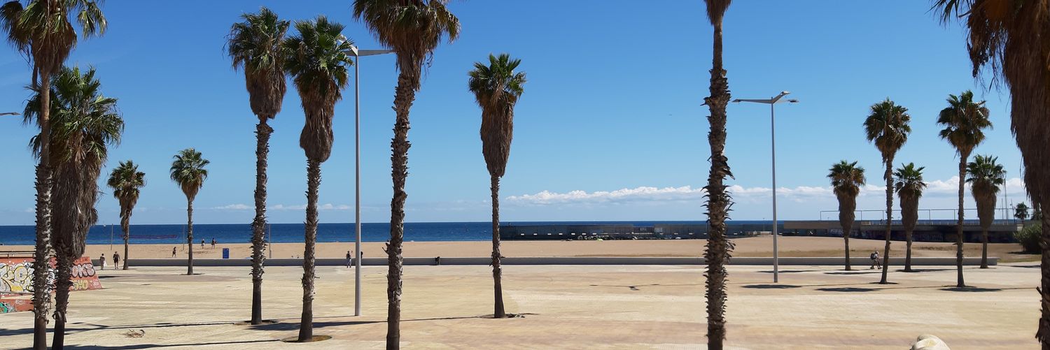 Matteo Schiavinato banner