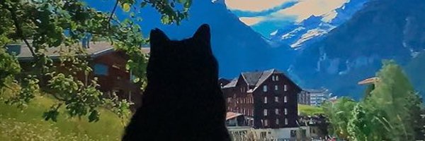 yo_chibi_yoo Profile Banner