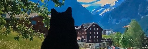 yo_chibi_yoo's profile banner image