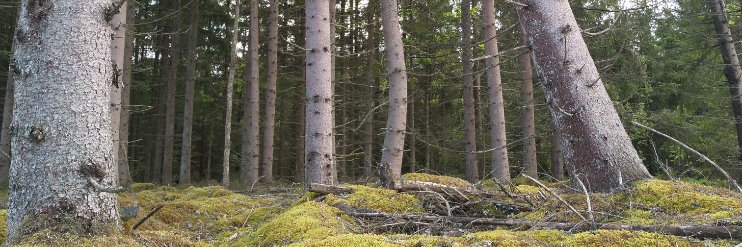 Hashtag Anonymous banner