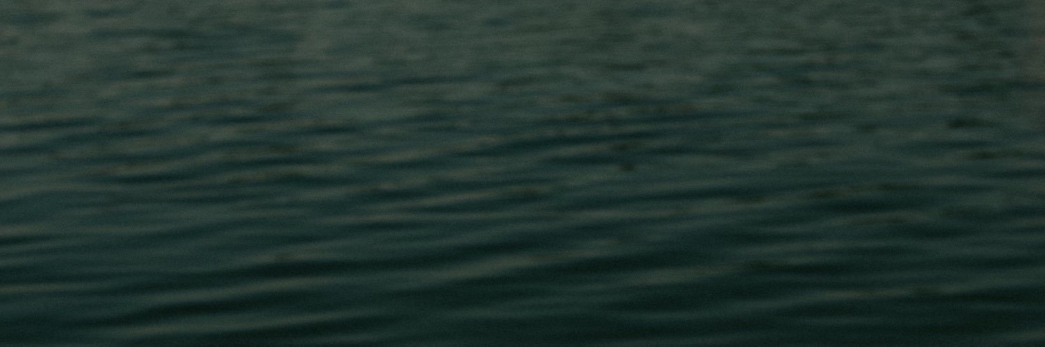 AlinaPanzel's profile banner image
