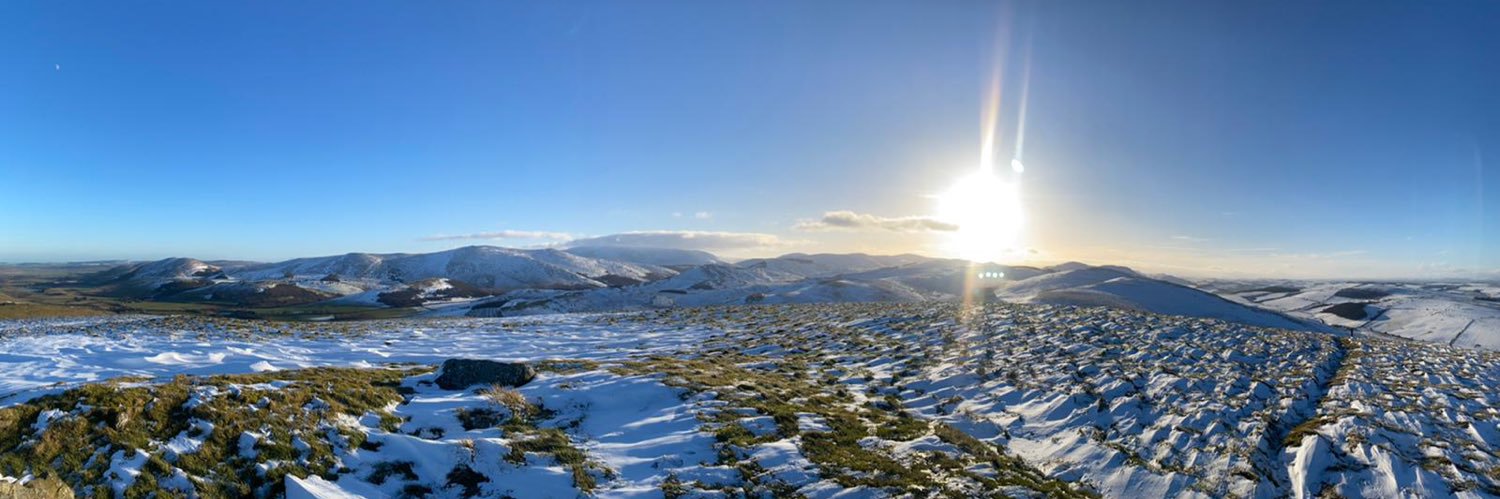 Adele Pearson banner