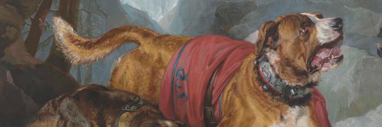whiskydog's profile banner image